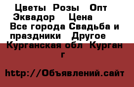 Цветы. Розы.  Опт.  Эквадор. › Цена ­ 50 - Все города Свадьба и праздники » Другое   . Курганская обл.,Курган г.